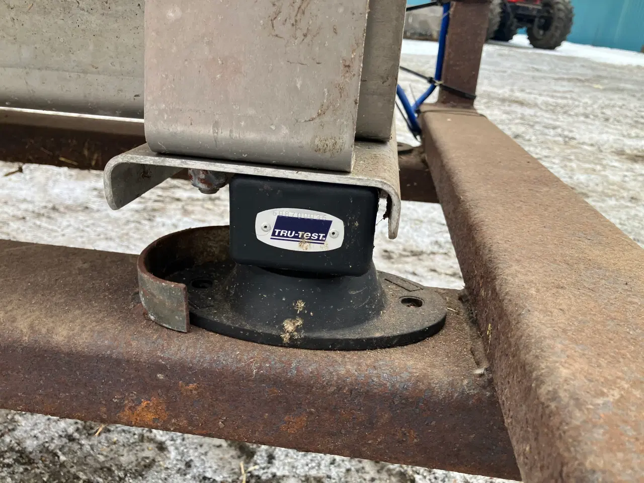 Billede 7 - Kreaturvægt