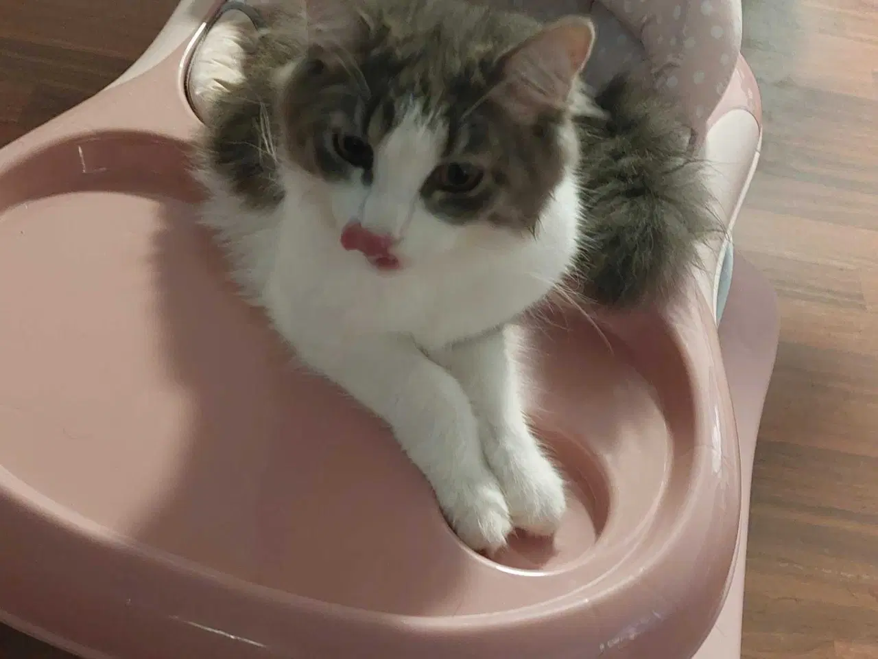 Billede 6 - Hej jeg hedder lusifer 