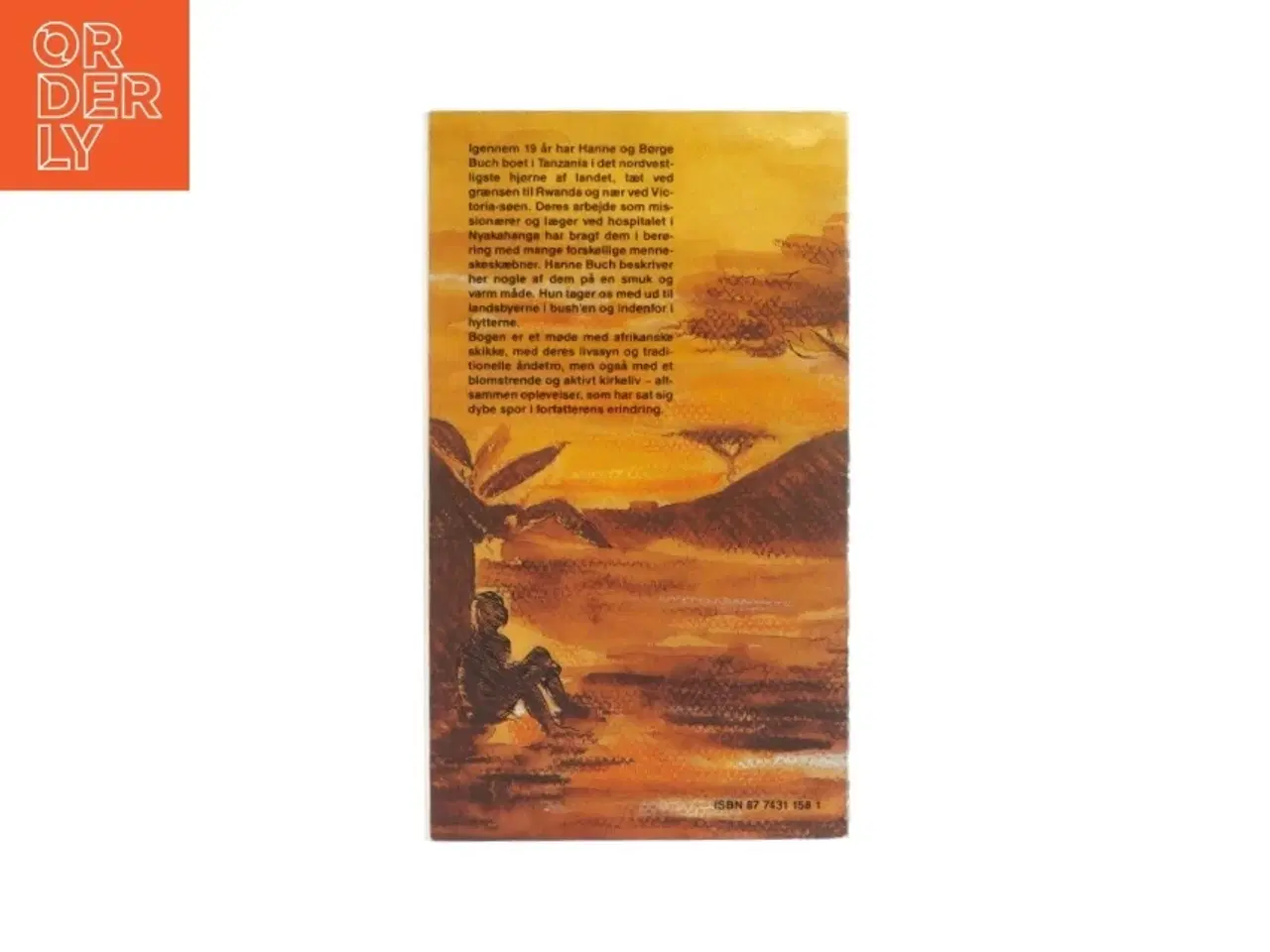Billede 2 - Kong Rumanyikas regn af Hanne Buch (bog)