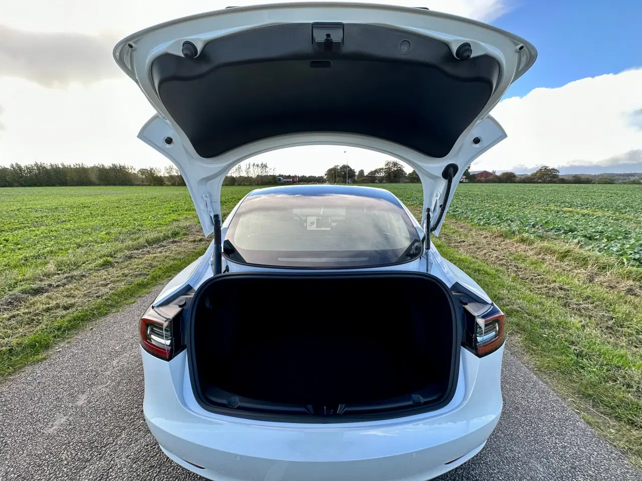 Billede 12 - Tesla Model 3 SR+ 2022 med træk! 