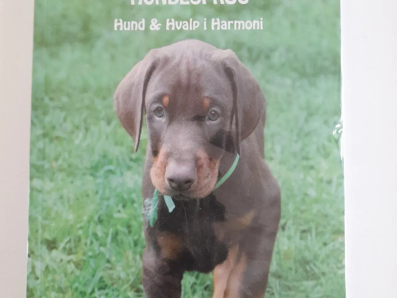 Billede 1 - Fagbog; Hundesprog, hvalp og hund i harmoni