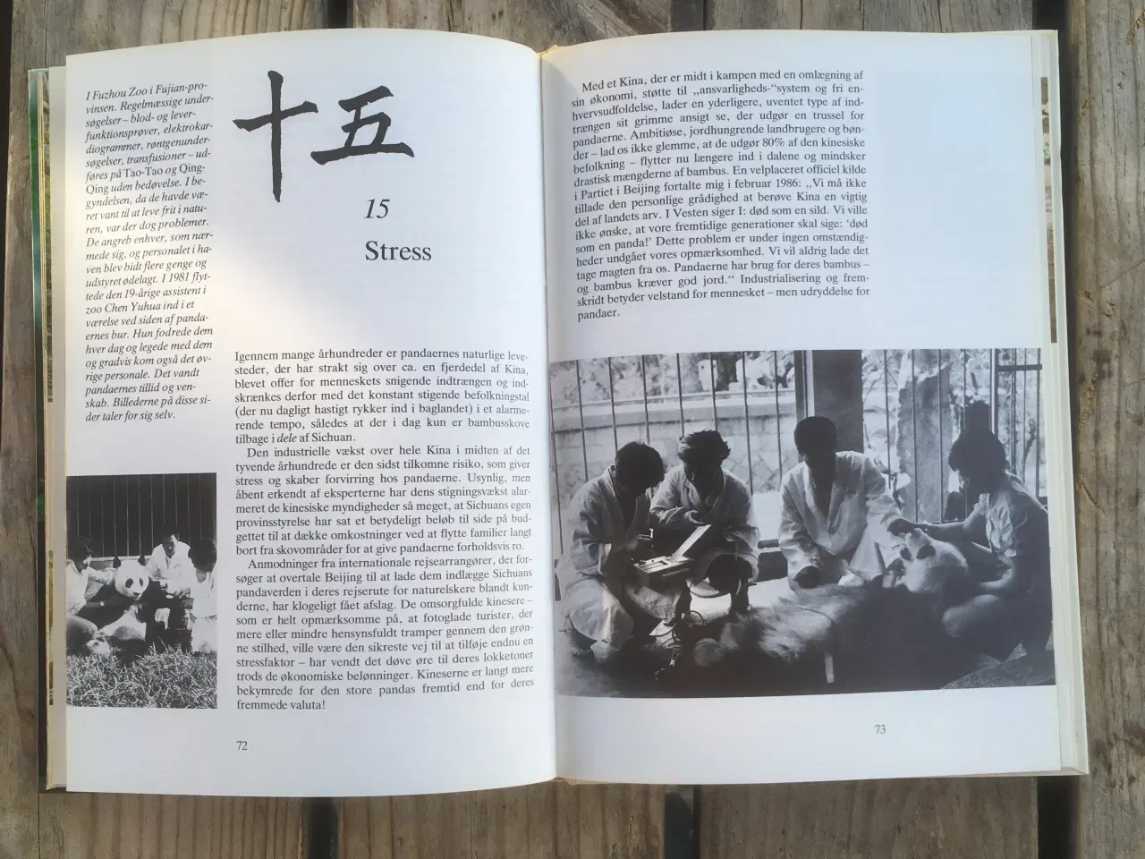 Billede 3 - Den fantastiske store panda, Michael de Havilland