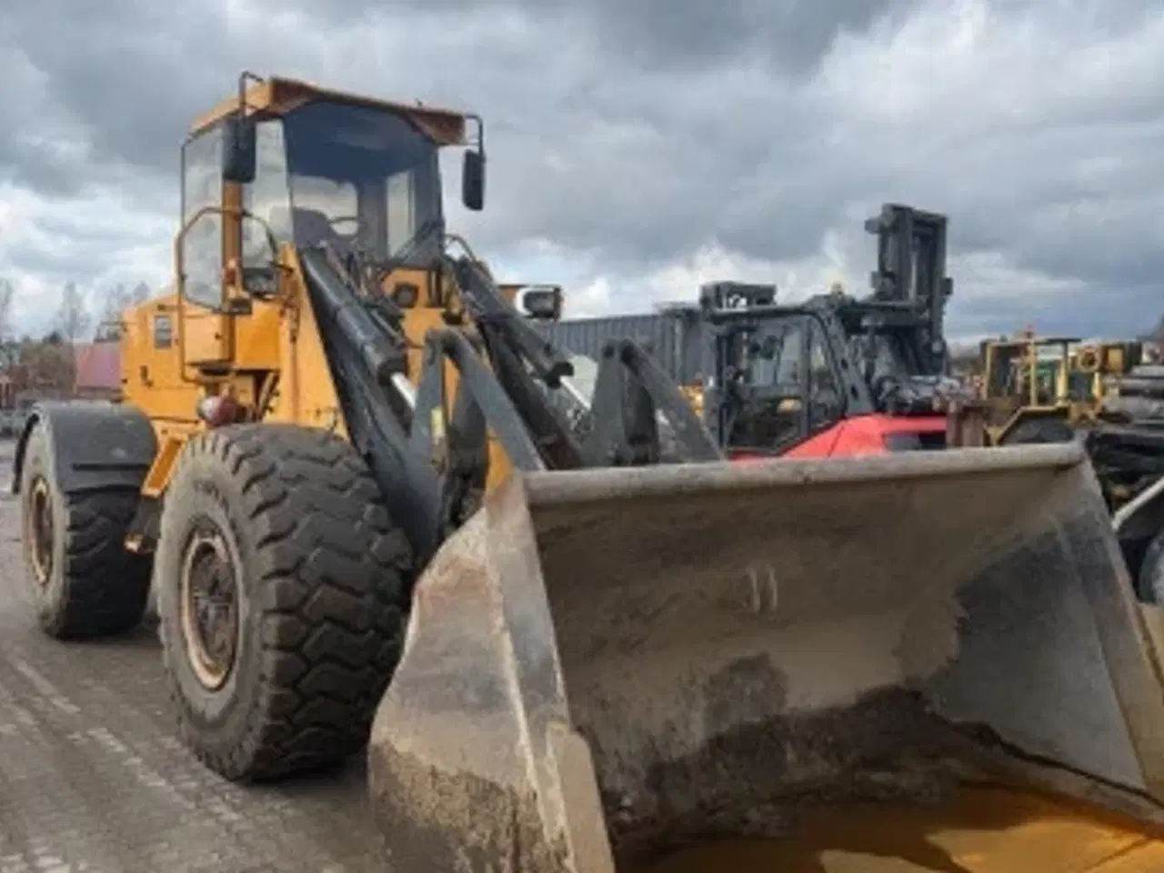 Billede 4 - Stærk gummiged 