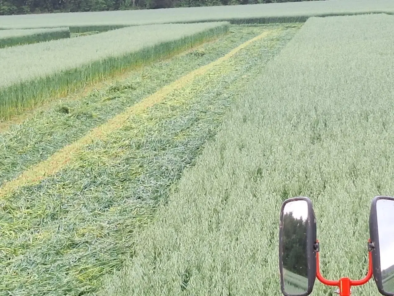 Billede 4 - Havrewrap med analyse, lav sukker