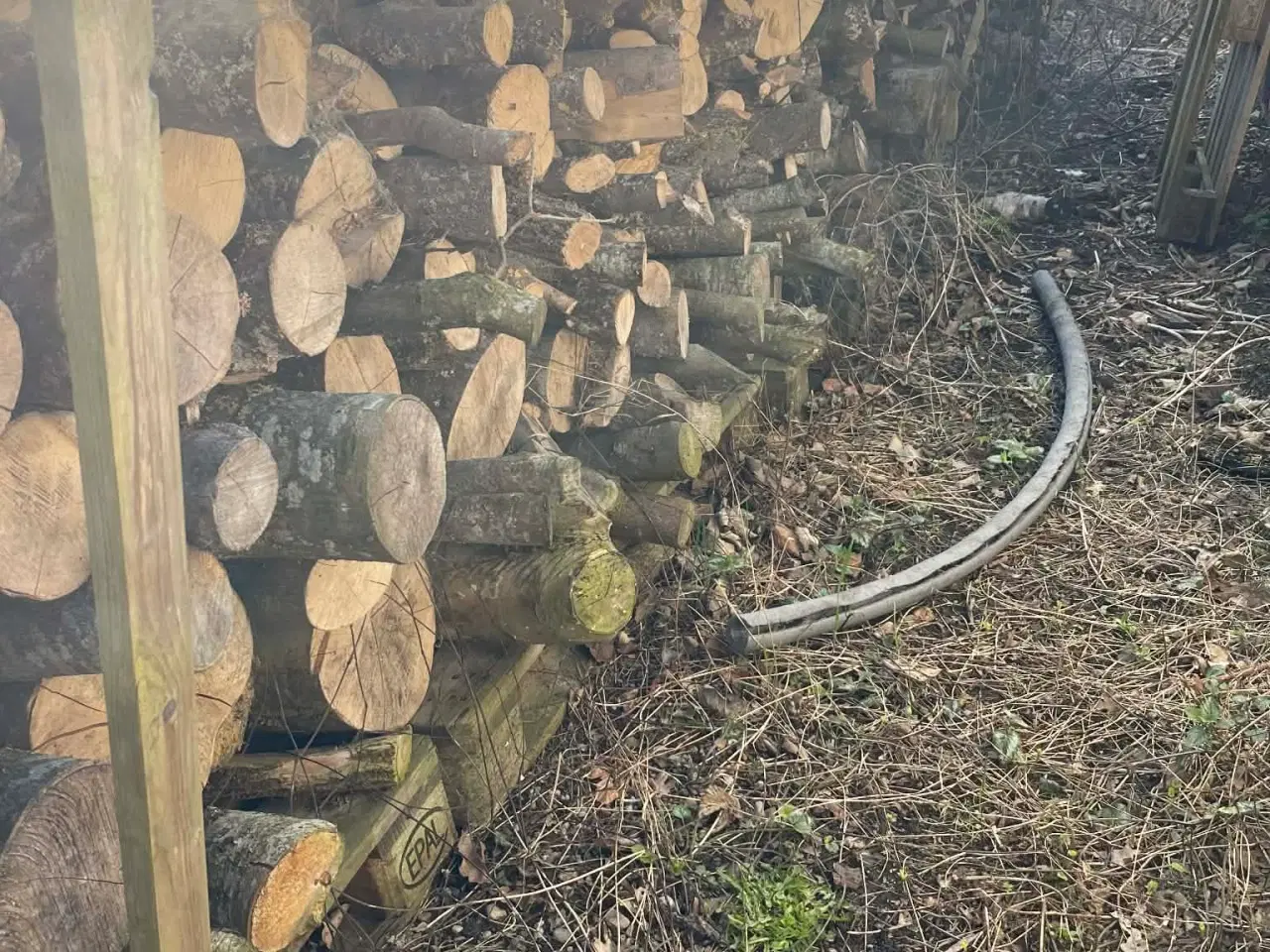 Billede 1 - Tørt 2 år ukløvet brænde