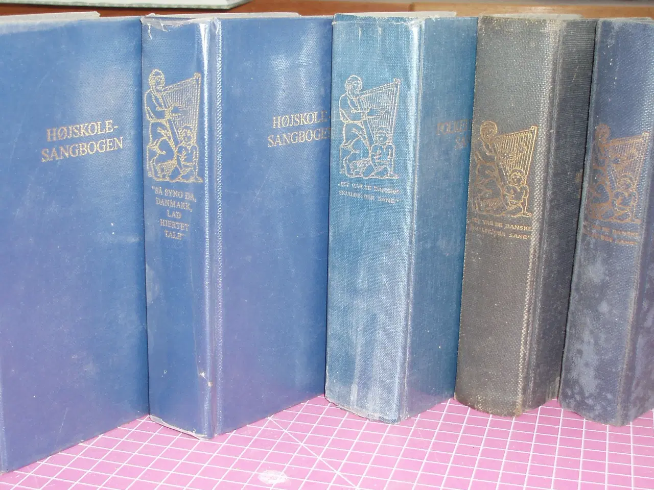 Billede 1 - Højskolesangbogen