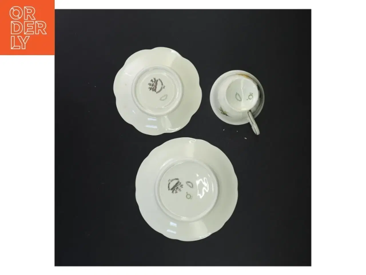 Billede 2 - Porcelænskopper og underkopper fra Antoinette (str. 16 x 8 cm)