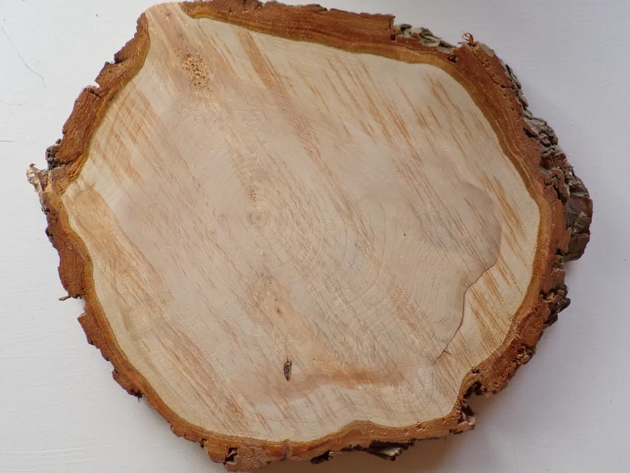 Billede 1 - NY Thuja Træskive med bark 35 cm lang