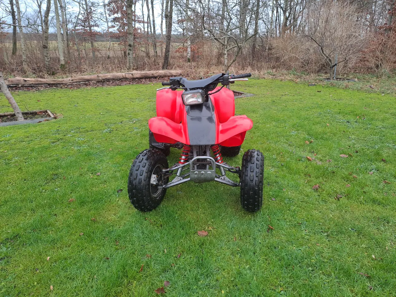 Billede 2 - Honda trx300ex 