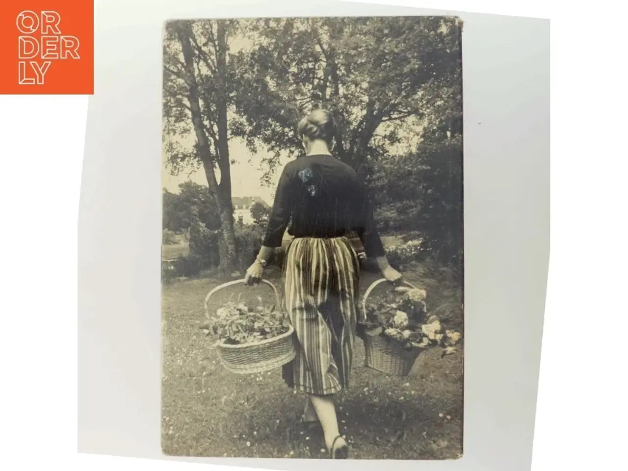 Billede 3 - Dronning i Danmark af Anne Wolden-Ræthinge (Bog)