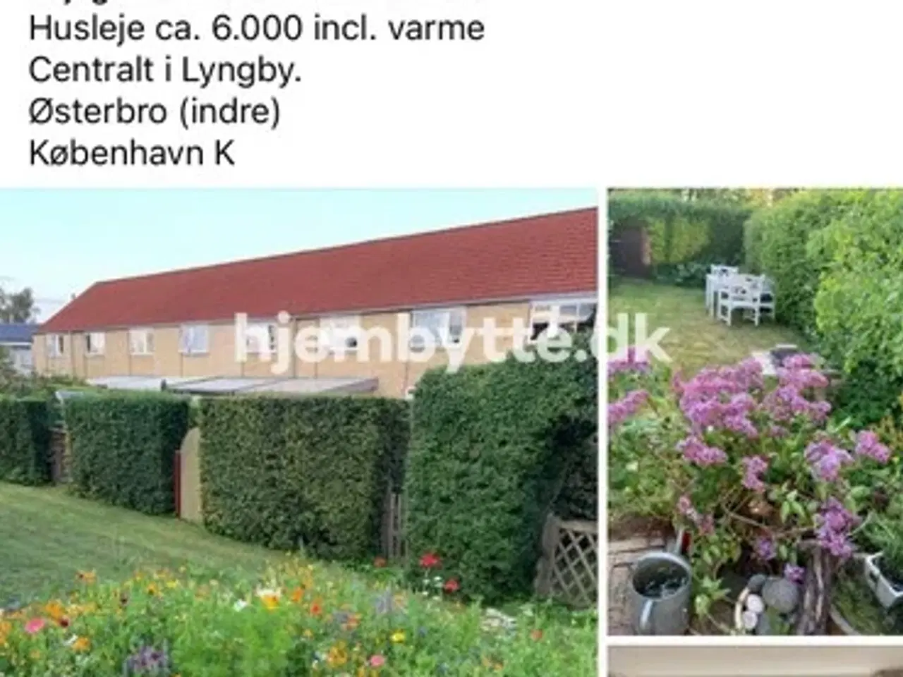 Billede 3 - Hjembytte - Lillemosevej