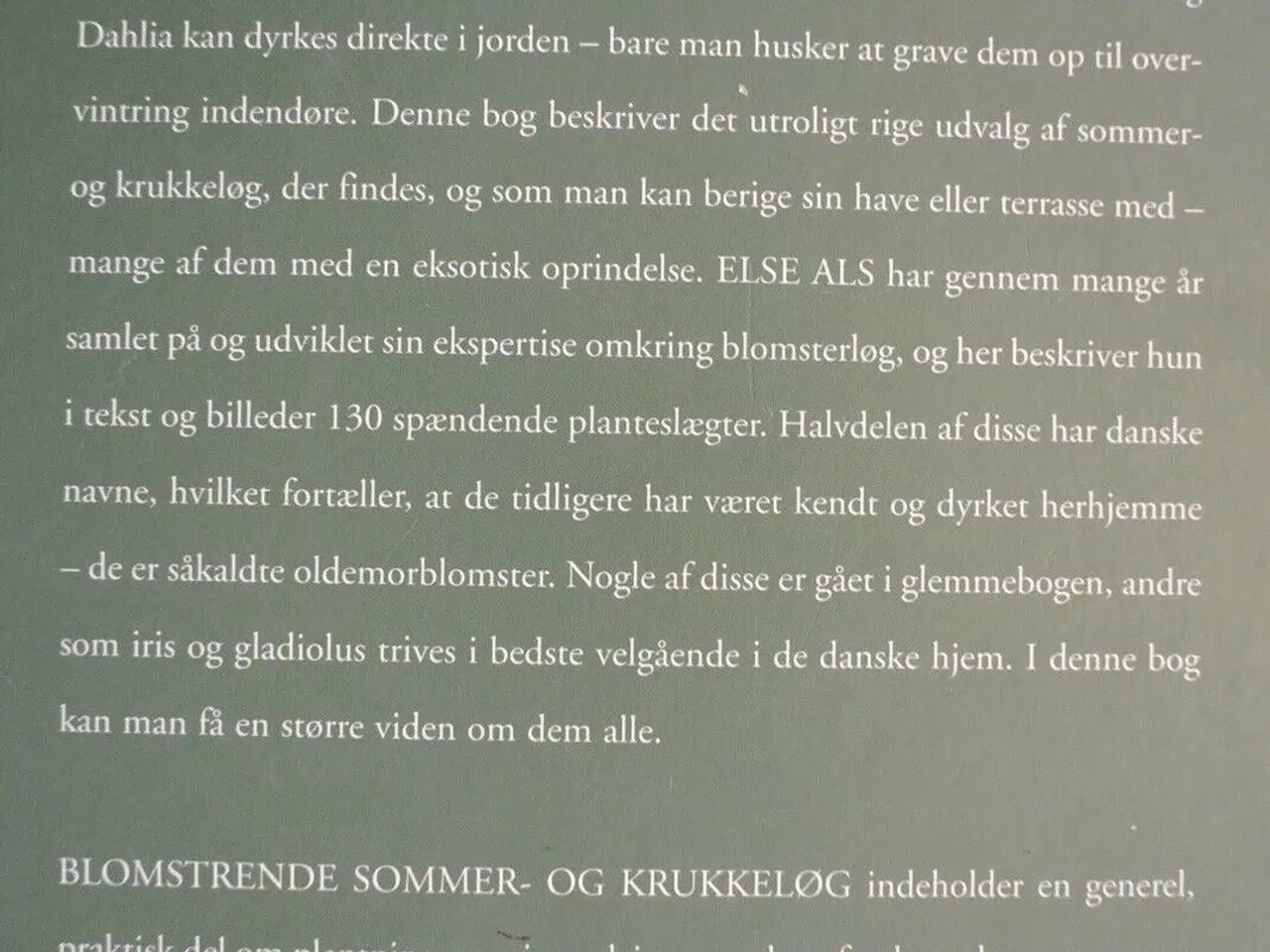 Billede 3 - blomstrende sommer- og krukkeløg, Af else als, emn