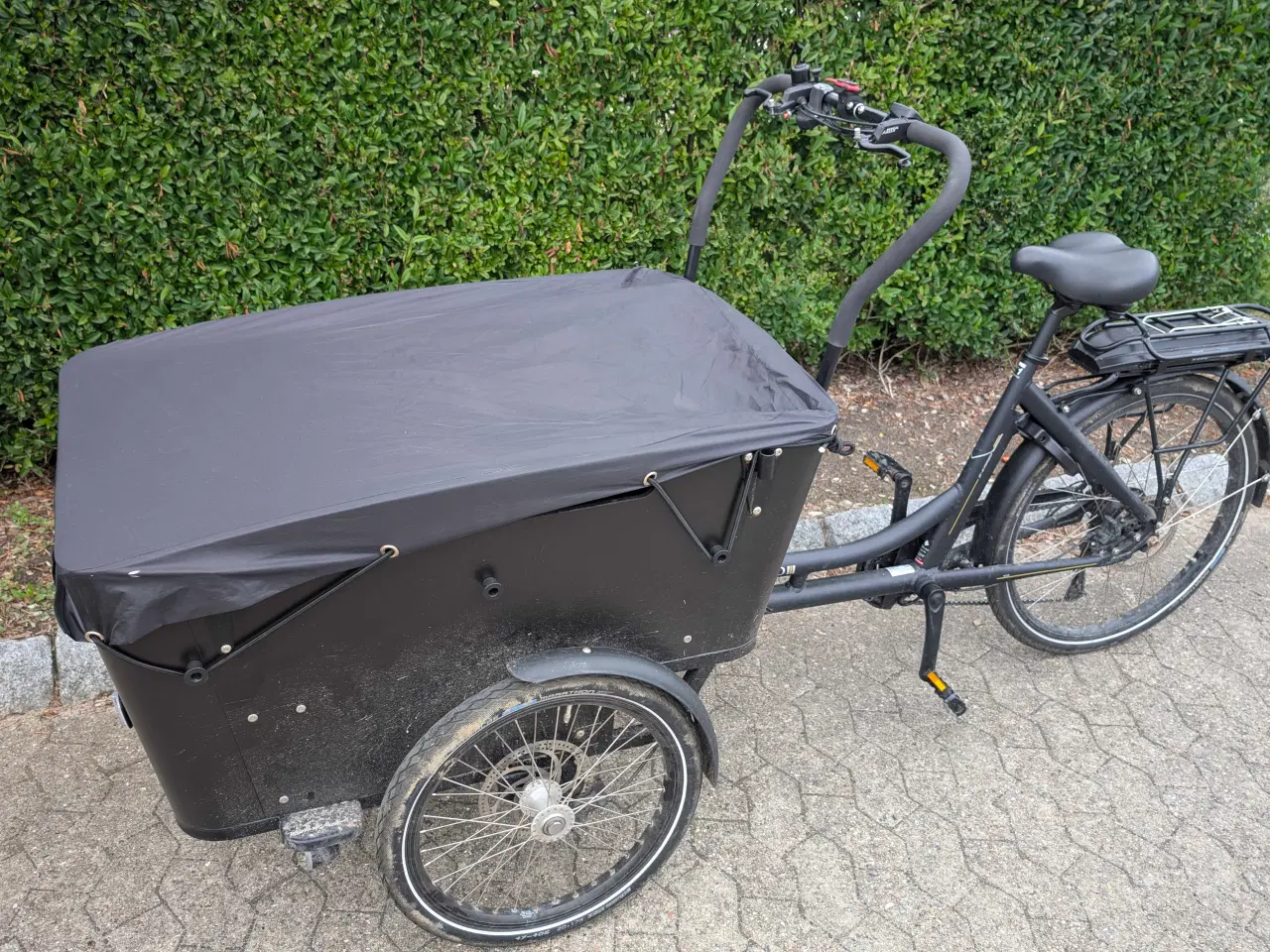 Billede 3 - Nyt hjem søges til ladcykel 