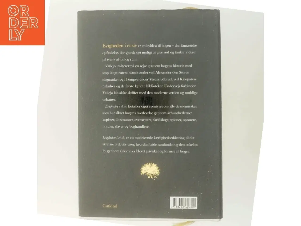 Billede 3 - Evigheden i et siv : historien om bogen af Irene Vallejo (f. 1979) (Bog)