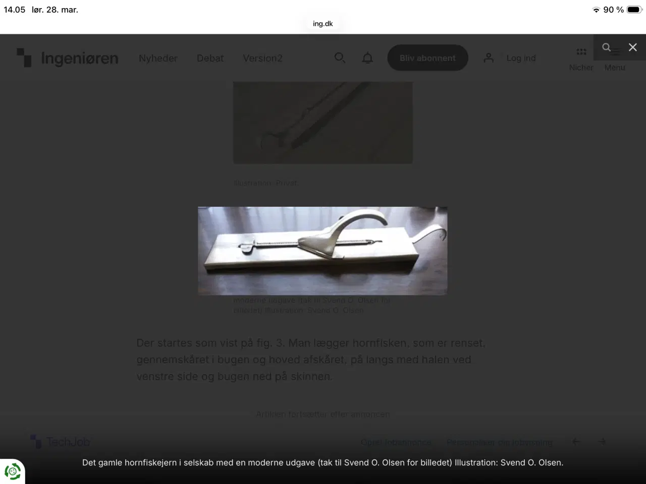 Billede 5 - KØBES 1 STK HORNFISK UDBENER JERN I RUSTFRIT STÅL 