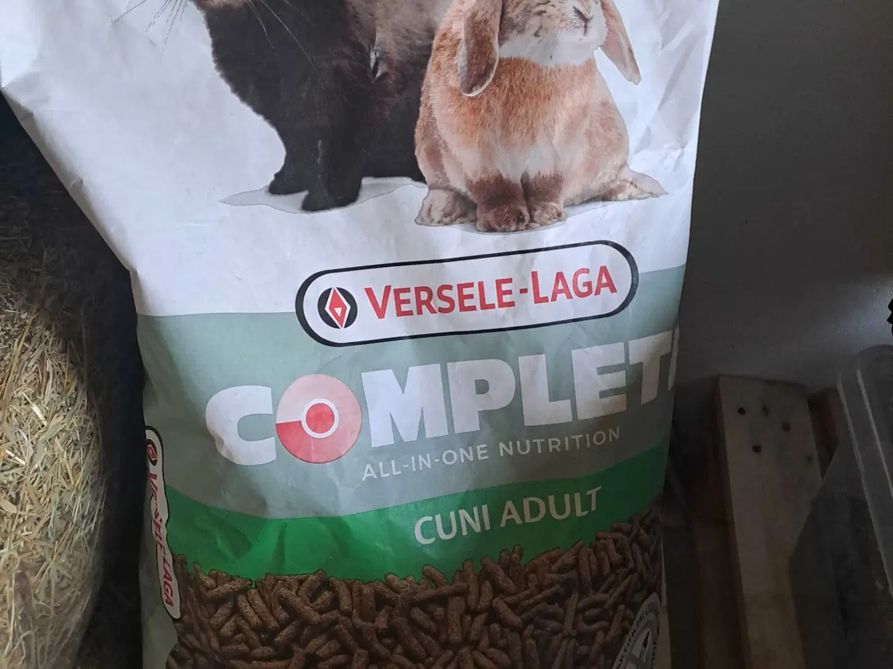 Billede 3 - Kanin med ALT tilbehør 