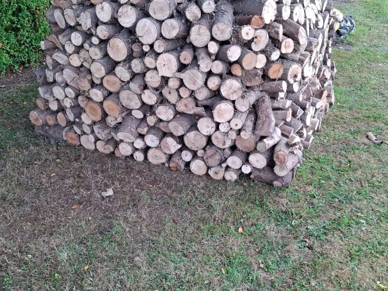 Billede 1 - brænde 4-5 m