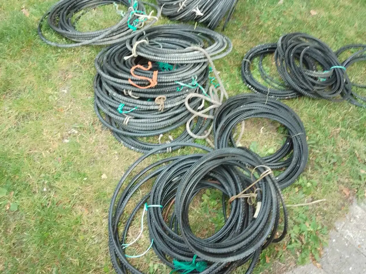 Billede 4 - Ruse rog rusebøjler.