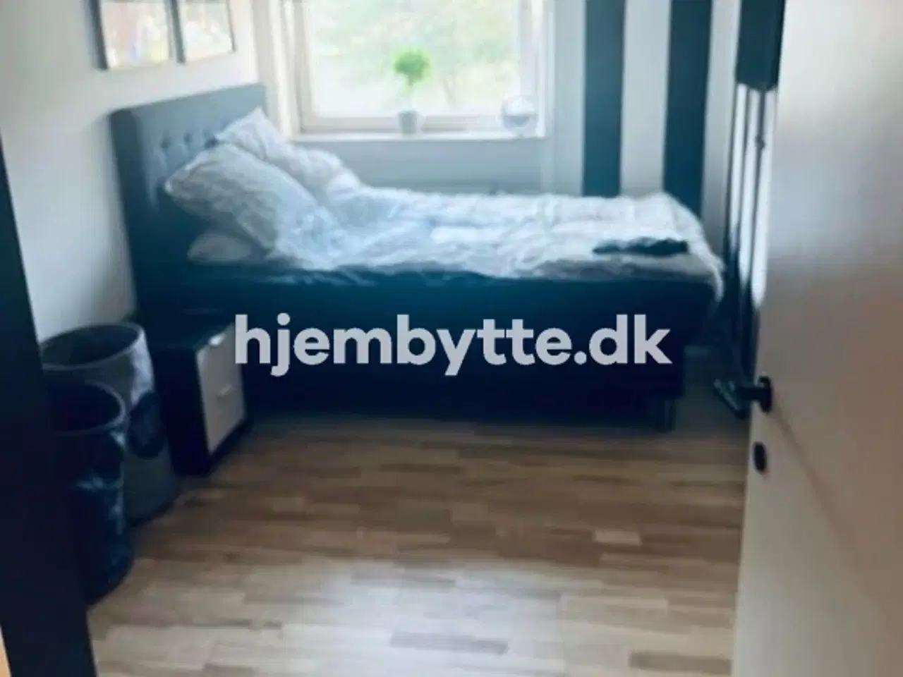 Billede 5 - Hjembytte - Tranevænget