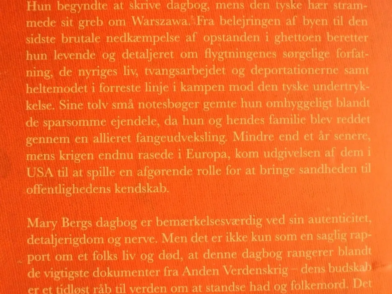 Billede 3 - dagbog fra ghettoen i warzawa, af mary berg