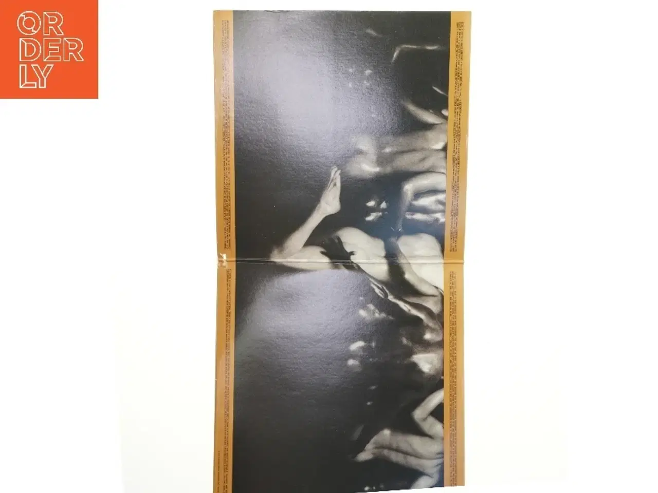 Billede 2 - New birth