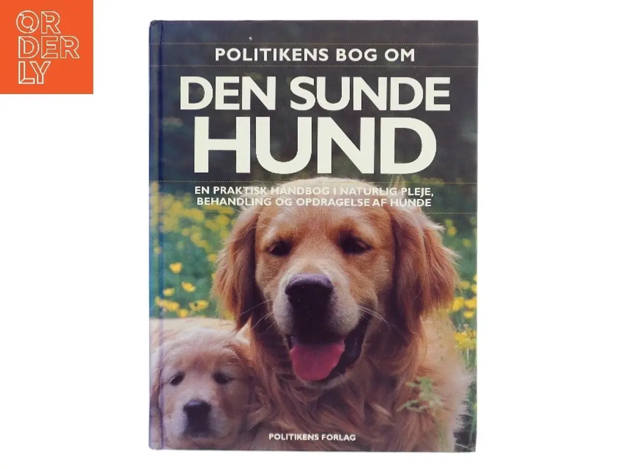 Billede 1 - Politikens bog om den sunde hund : en praktisk håndbog i naturlig pleje, behandling og opdragelse af hunde af Bruce Fogle (Bog)