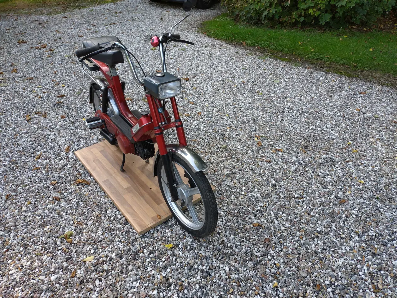 Billede 6 - Vespa caio