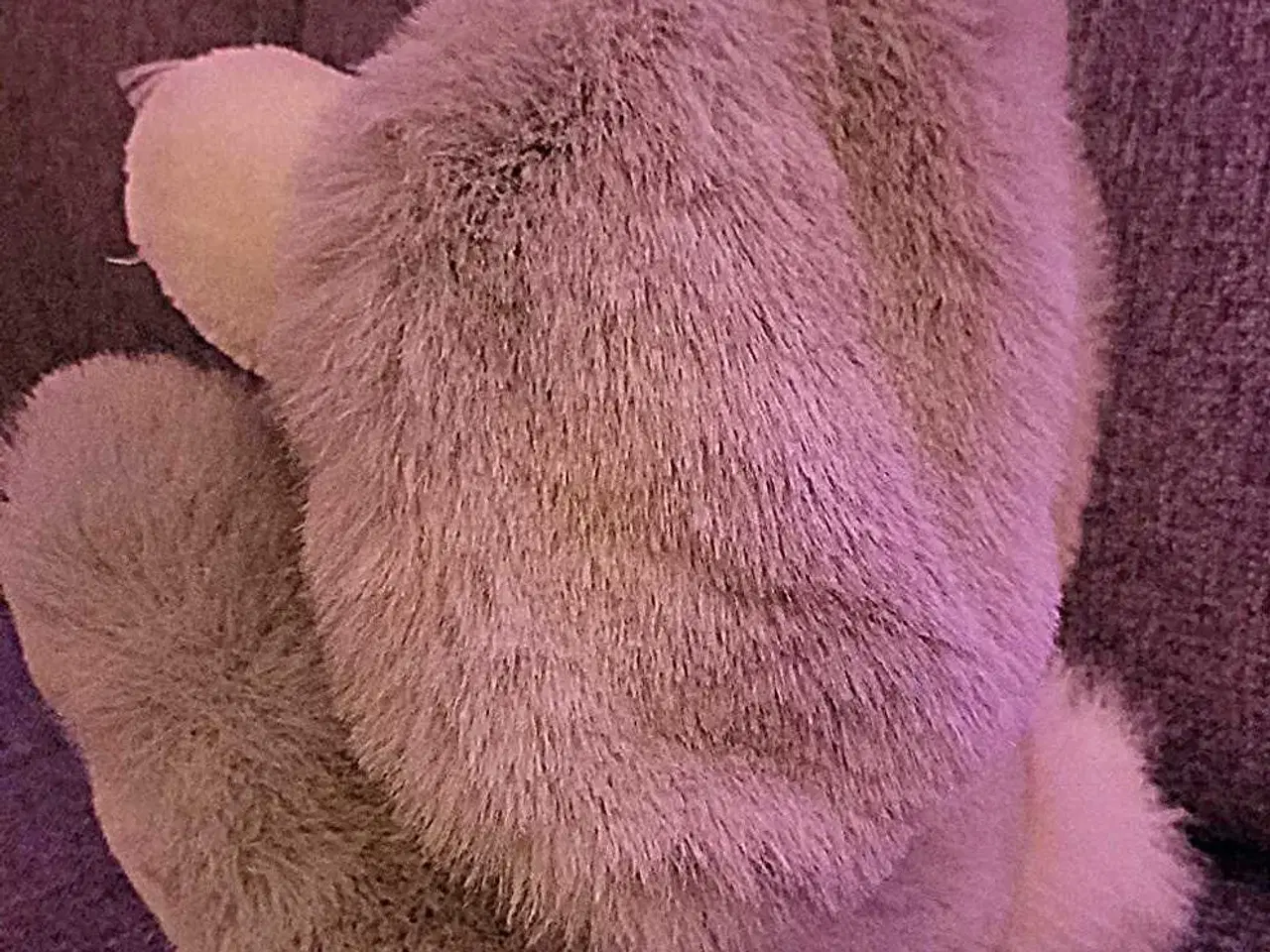 Billede 4 - Stampe Bamse