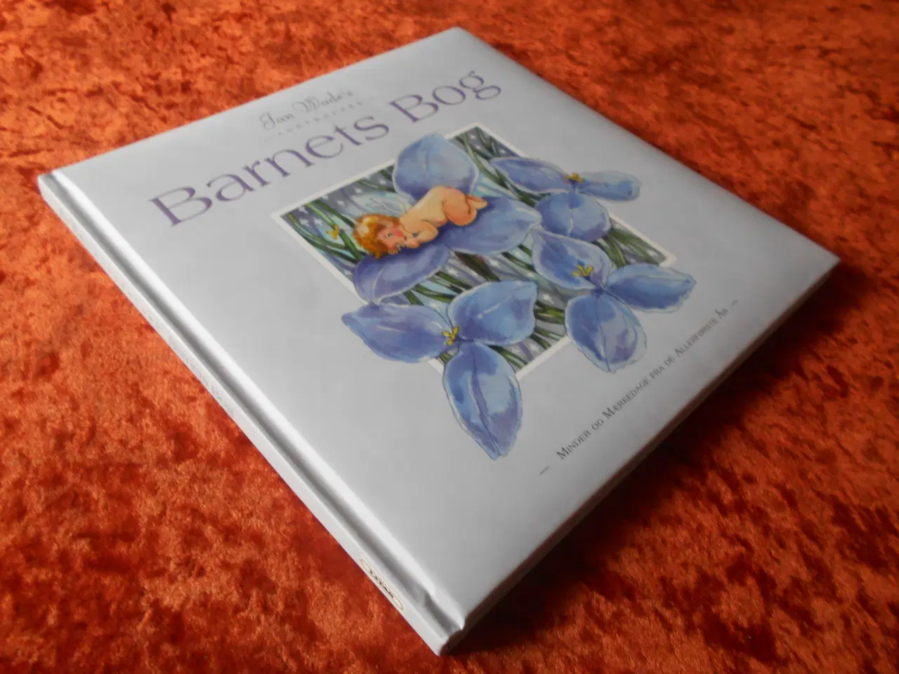 Billede 1 - Barnets bog, Jan Wade