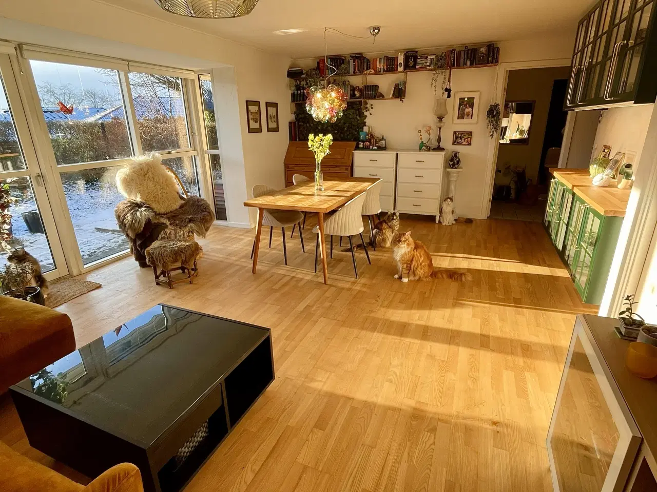 Billede 3 - Lys og varm Andelsbolig i Odense N