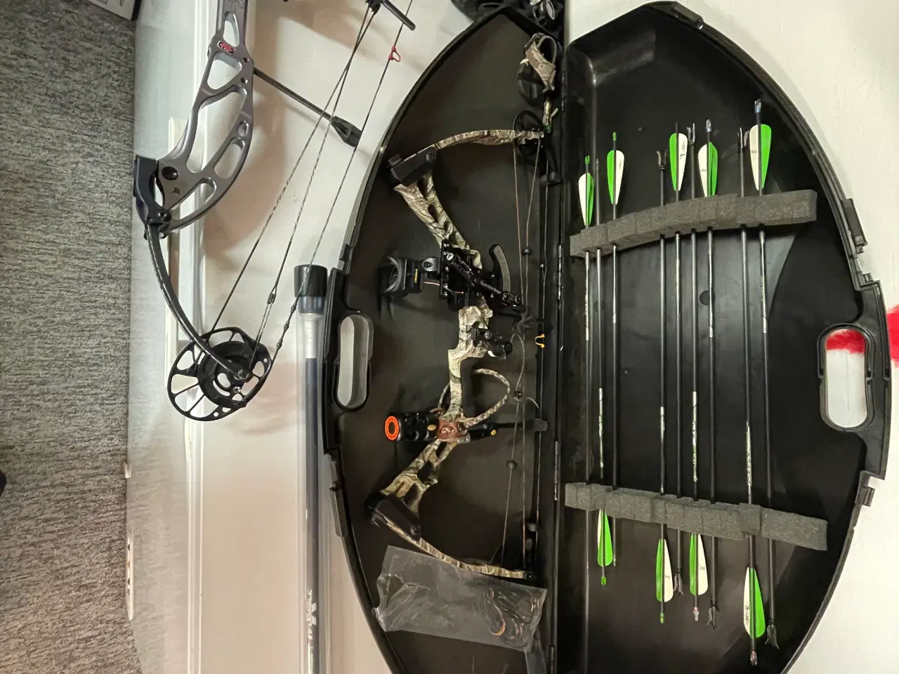 Billede 1 - Links buer 2 stk