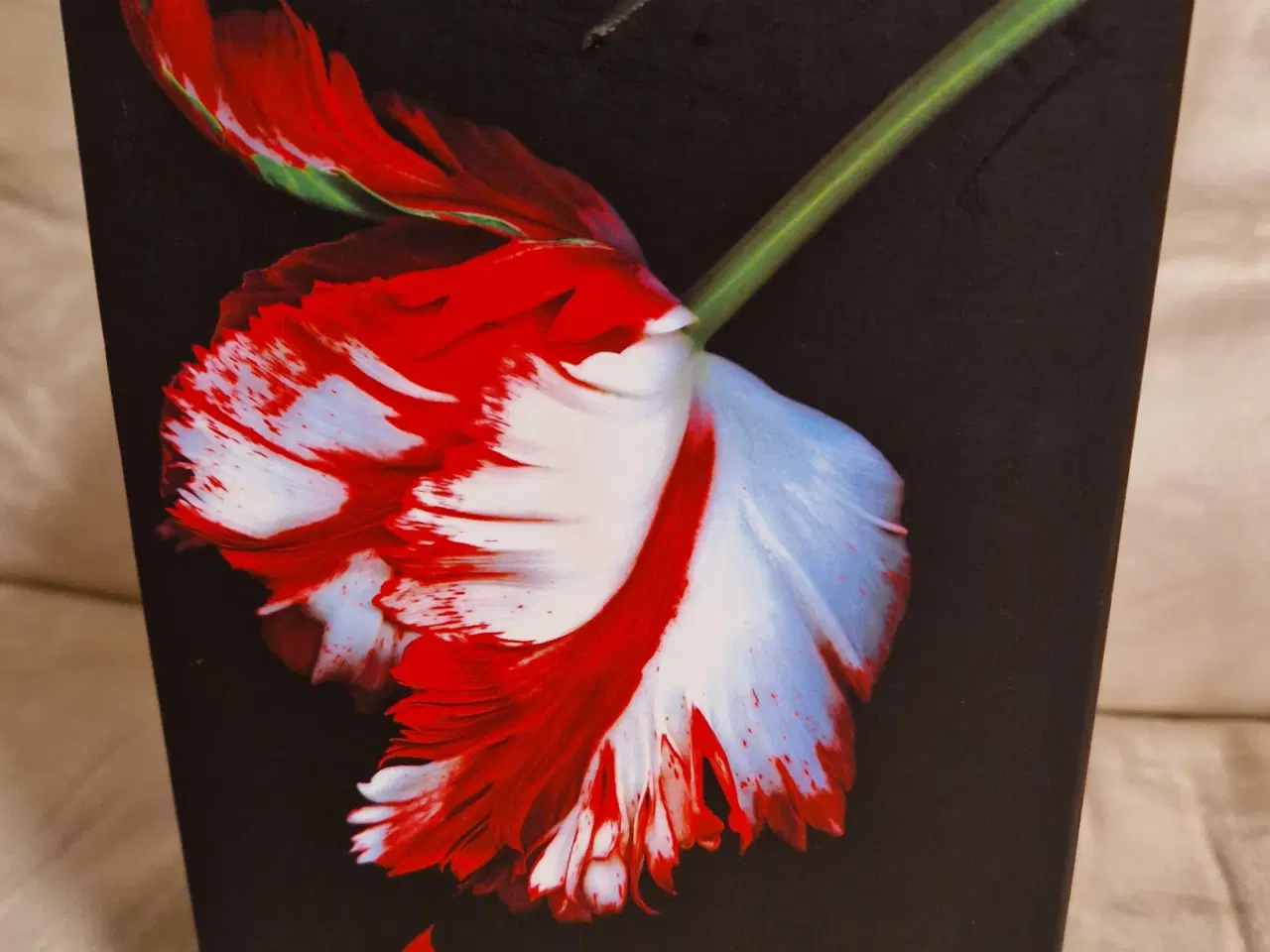 Billede 2 - Stephenie Meyer Twilight Serie Bøger