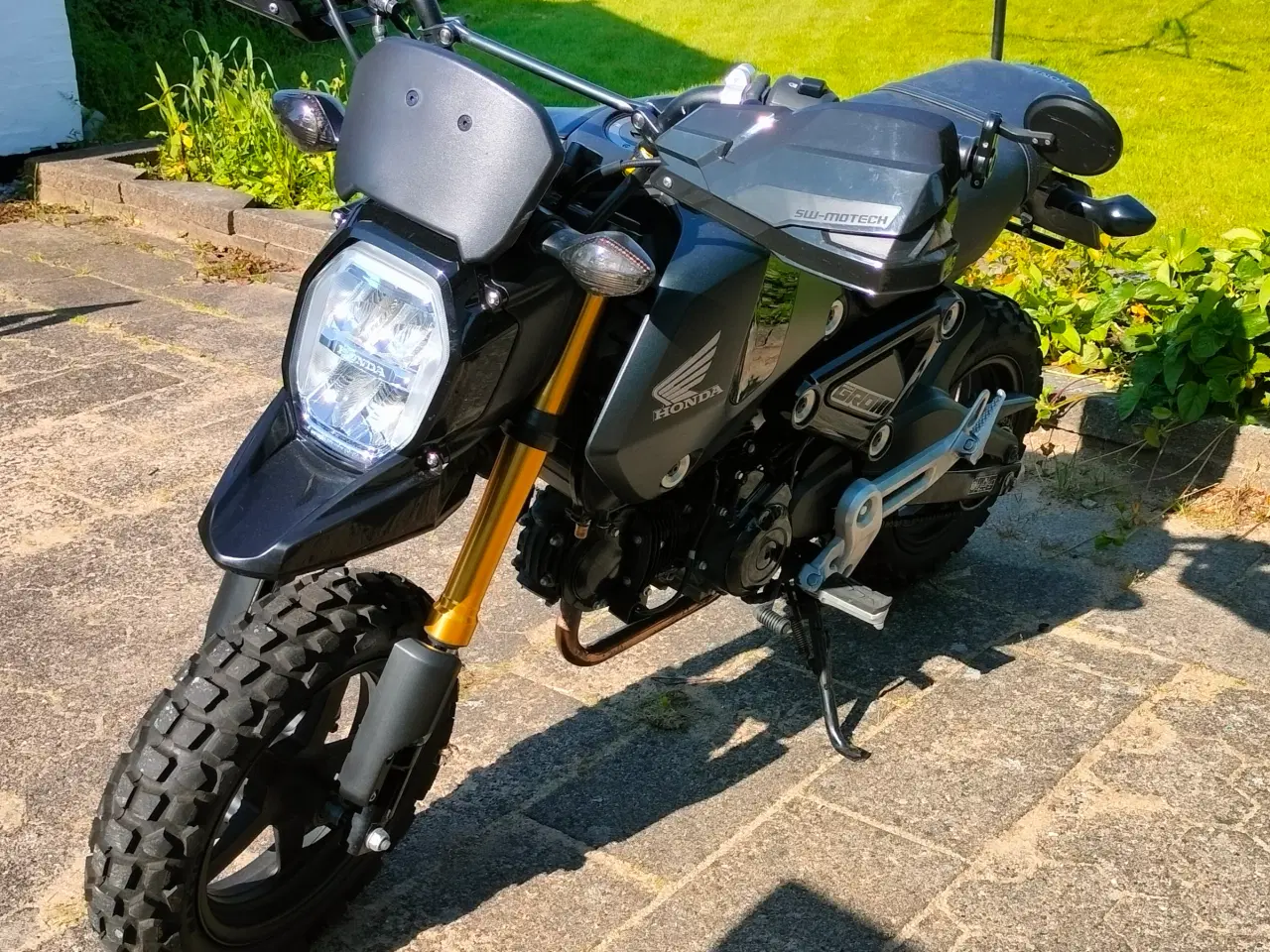 Billede 3 - 2023 Honda MSX 125 Grom 