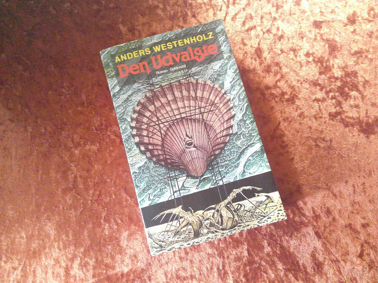 Billede 1 - Den udvalgte, Anders Westenholz