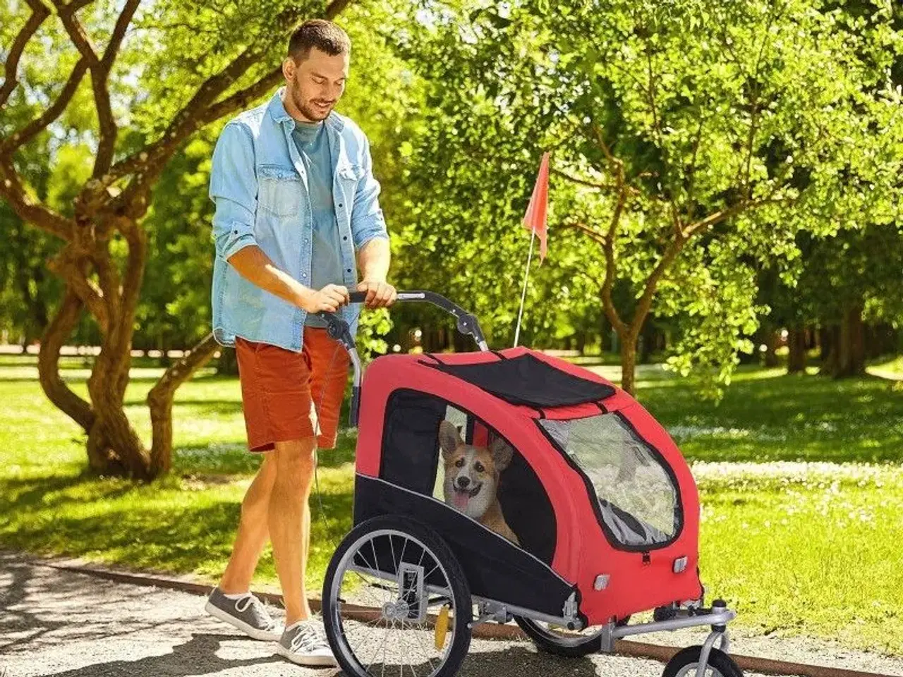 Billede 1 - Cykelanhænger / Jogger Til Hunden