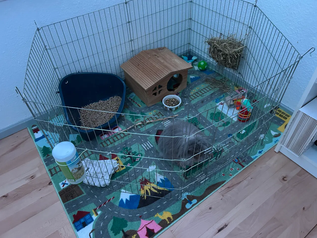 Billede 4 - Sød og kærlig hankanin søger nyt hjem