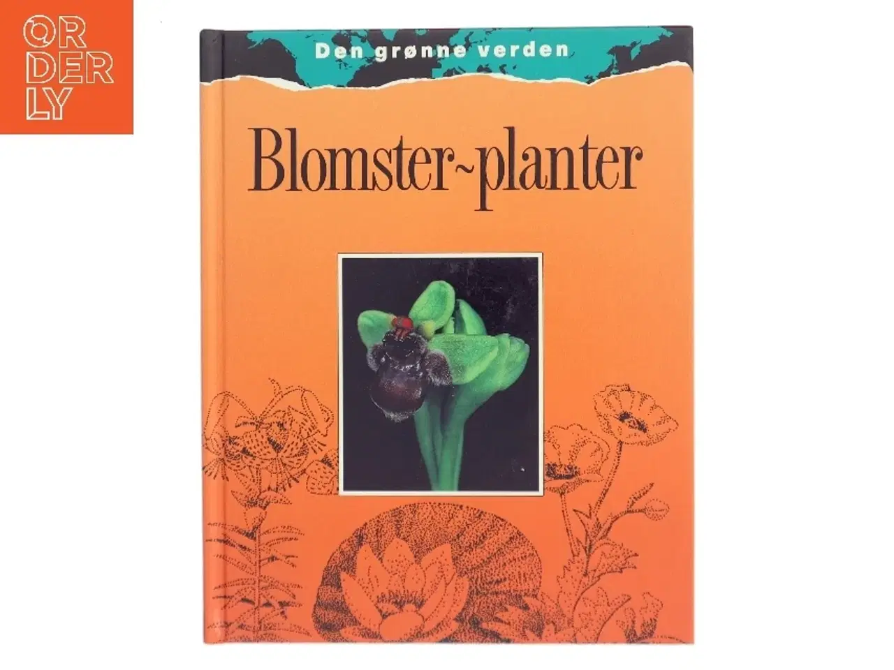 Billede 1 - Blomster-planter af Wendy Madgwick (Bog)