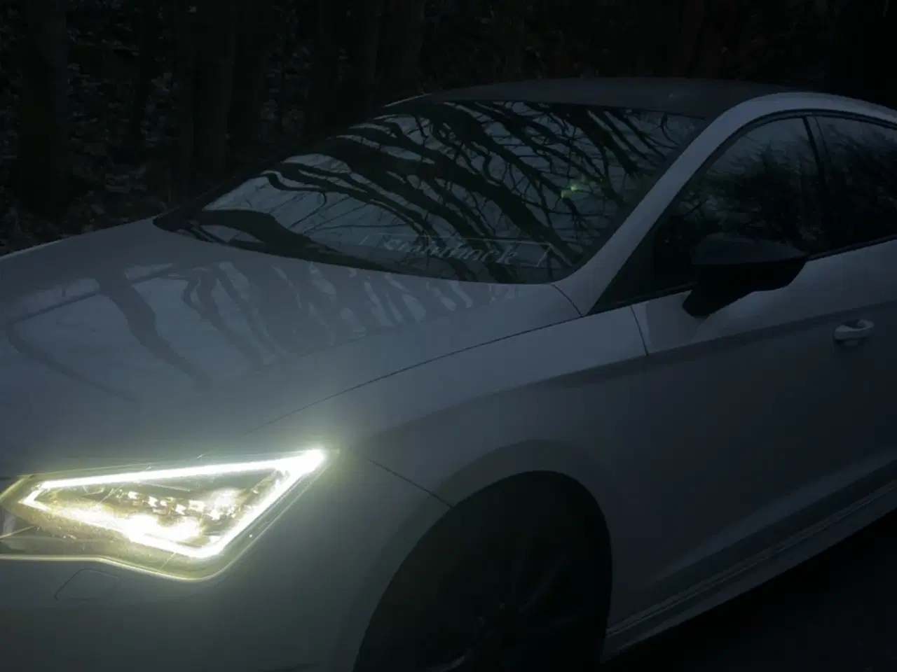 Billede 5 - Flot Seat Leon sælges 