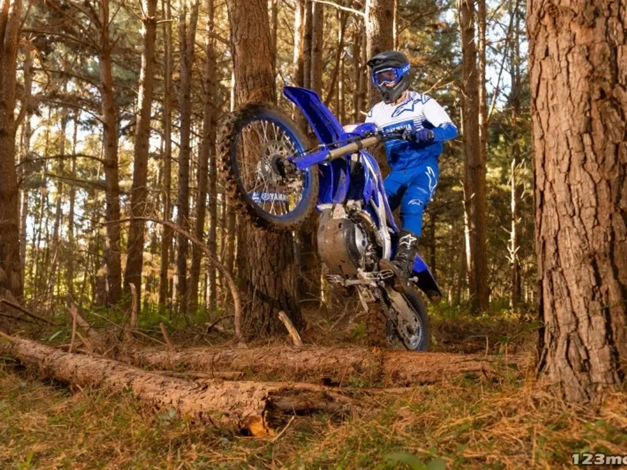 Billede 2 - Yamaha WR 450 F