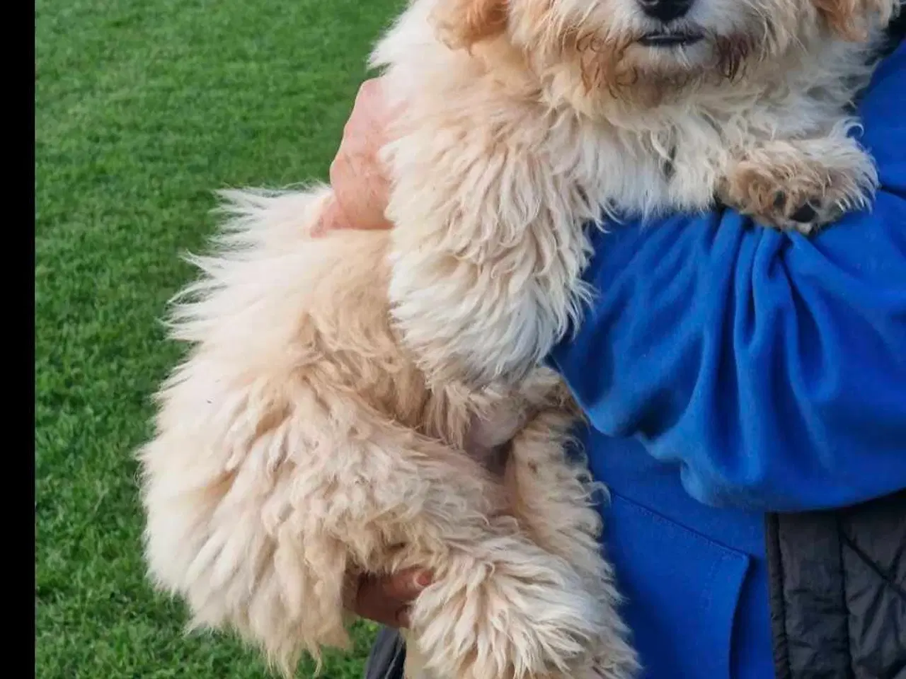 Billede 1 - Lækker dreng 