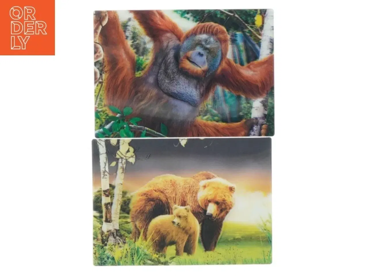 Billede 1 - Postkort med dyremotiver fra Wild Republic (str. 15x10 cm)