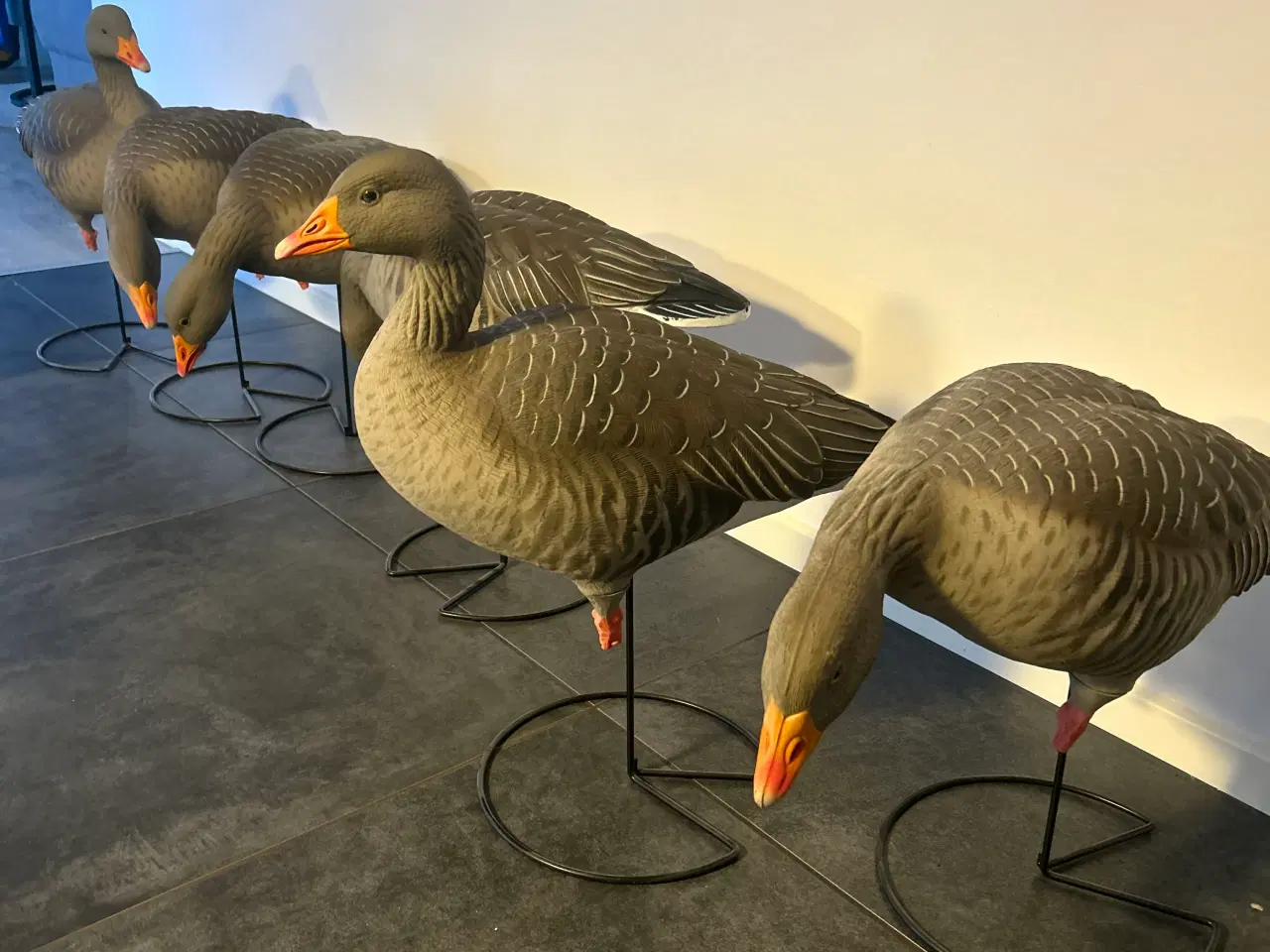 Billede 2 - GHG Lokkegæs 