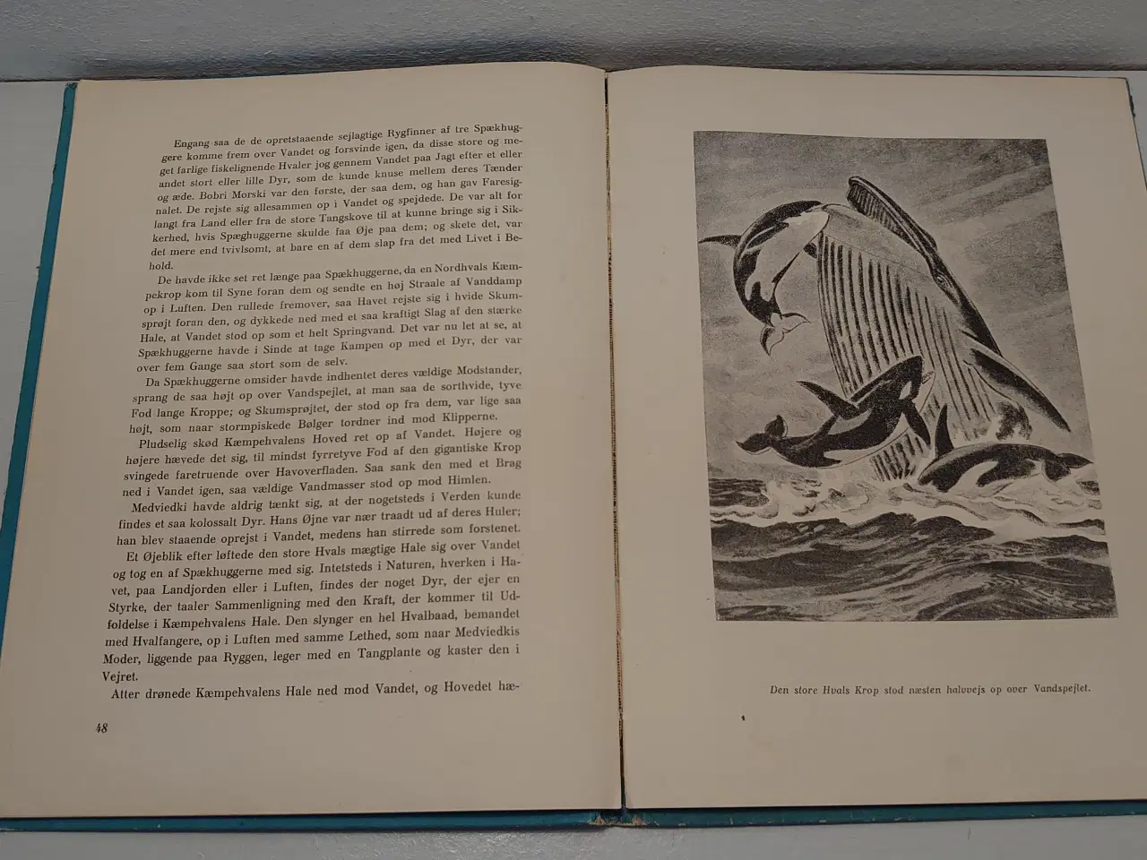 Billede 4 - Harold McCracken:Havodderens Saga.ill.Paul Bransom