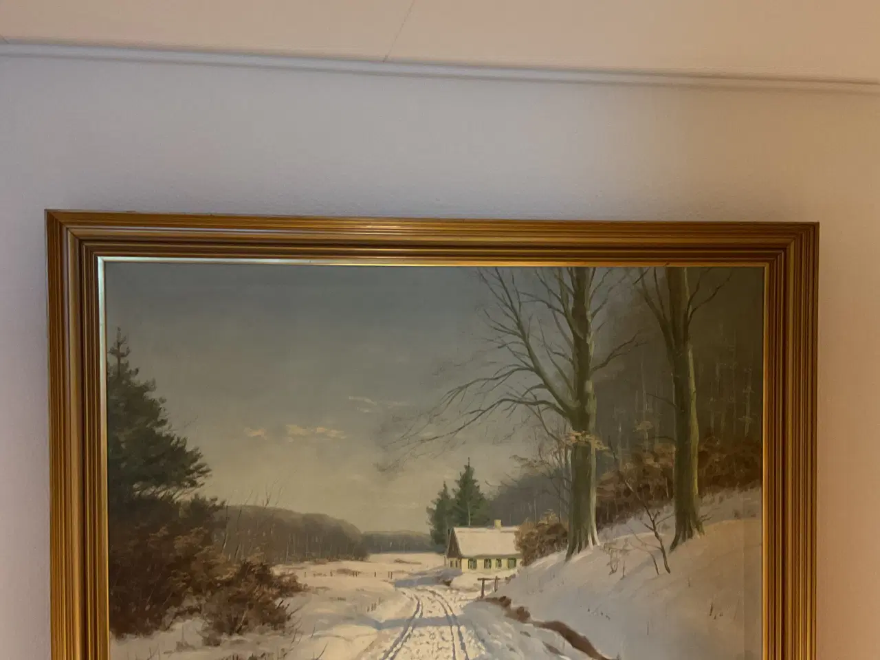 Billede 1 - W. Dannerfjord vinter landskab