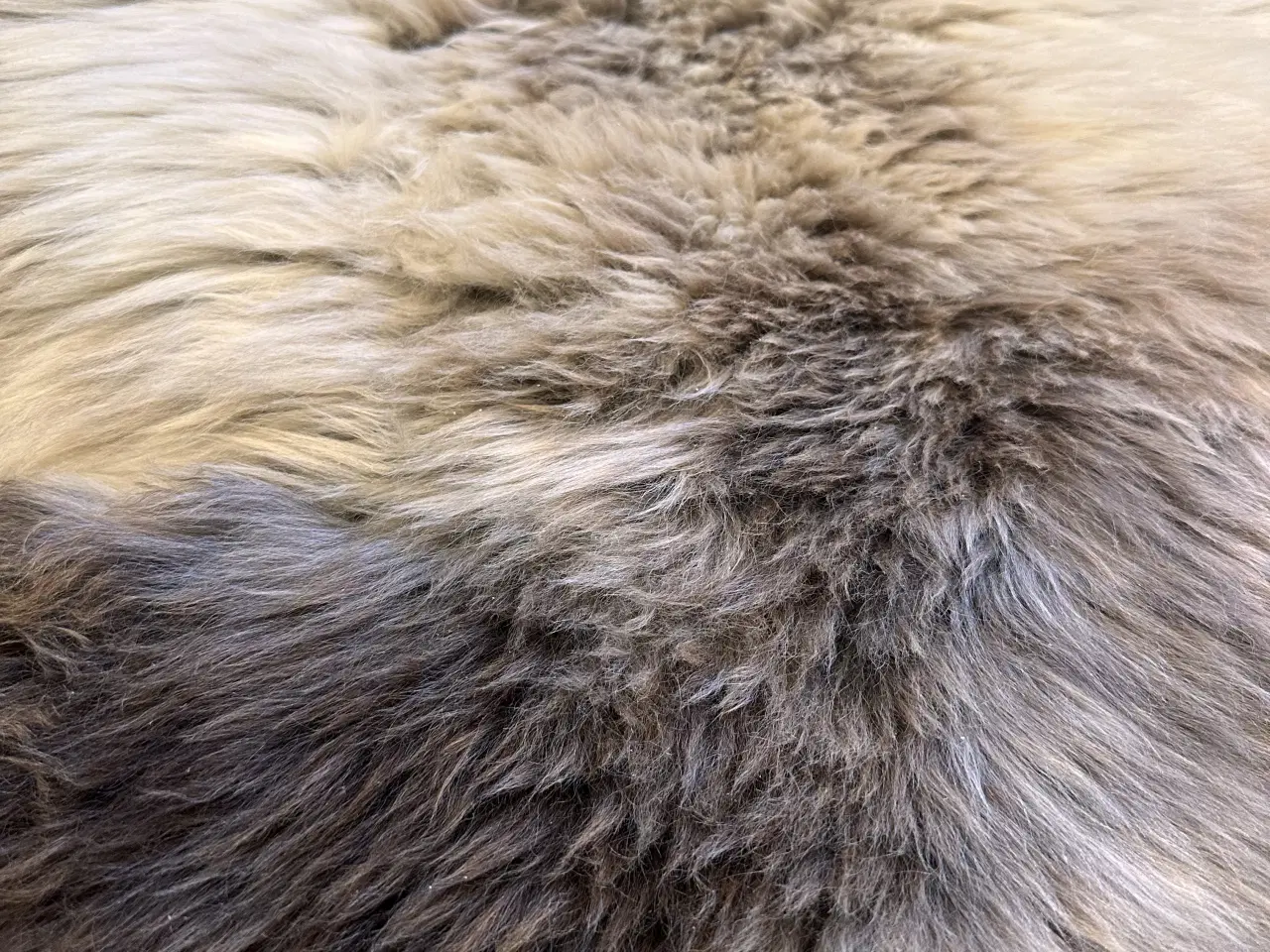 Billede 7 - Helt nyt dansk lammeskind 