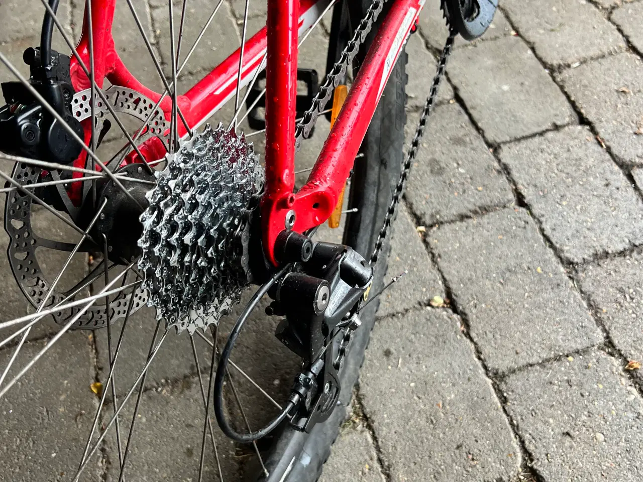 Billede 4 - Drenge MTB Cykel (SPECIALIZED)