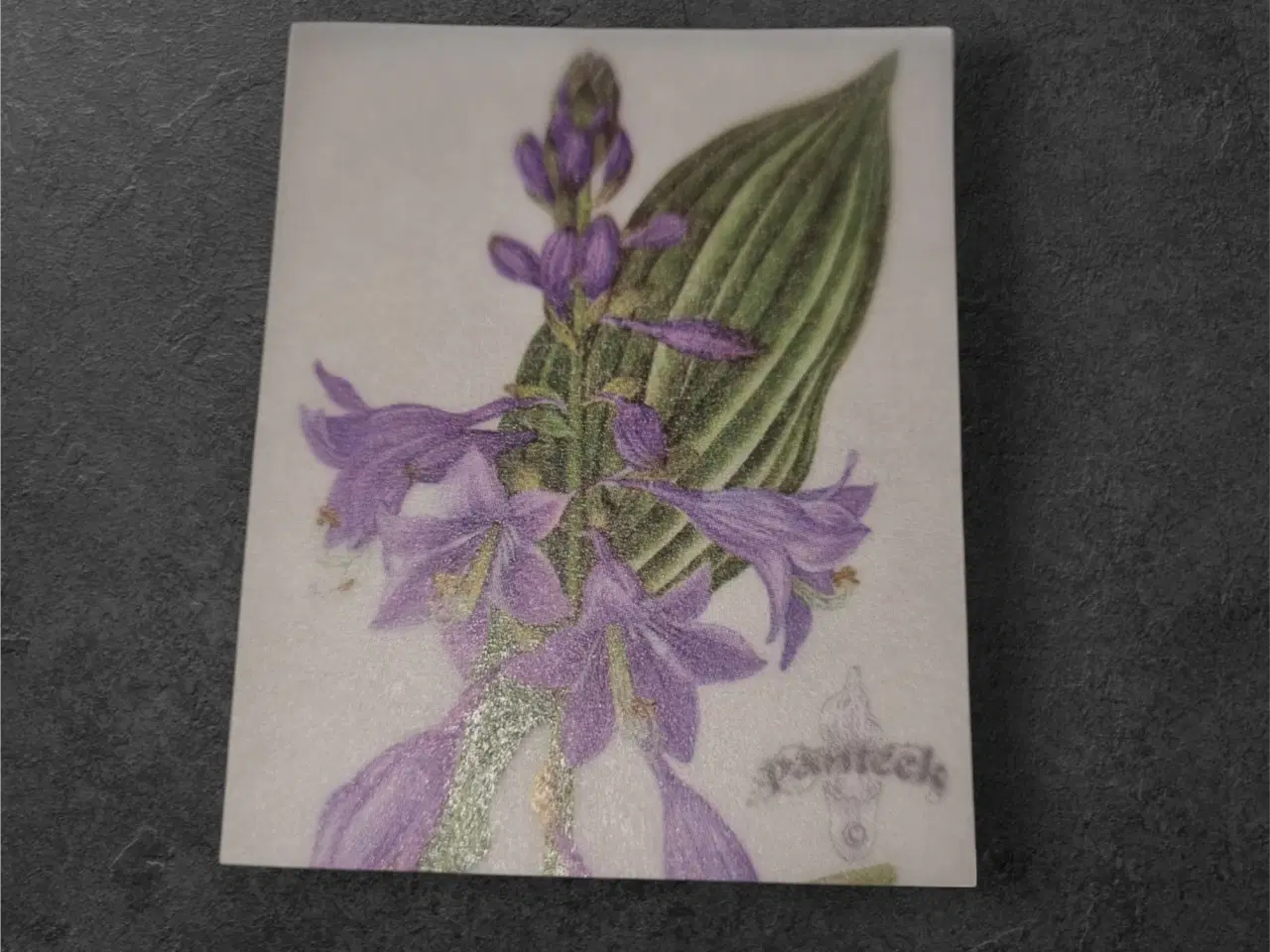 Billede 1 - Smukke akvarelpapirark med hosta-design