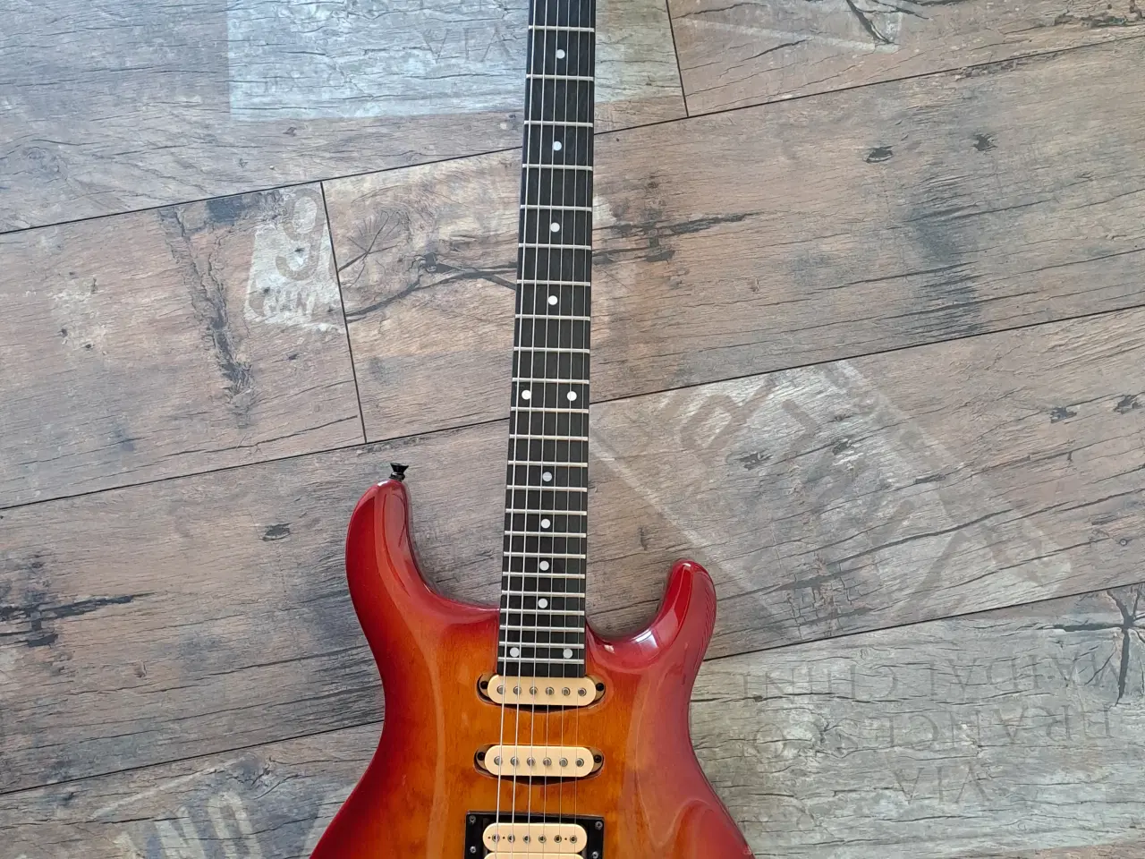 Billede 1 - Hohner Professional SG Lion