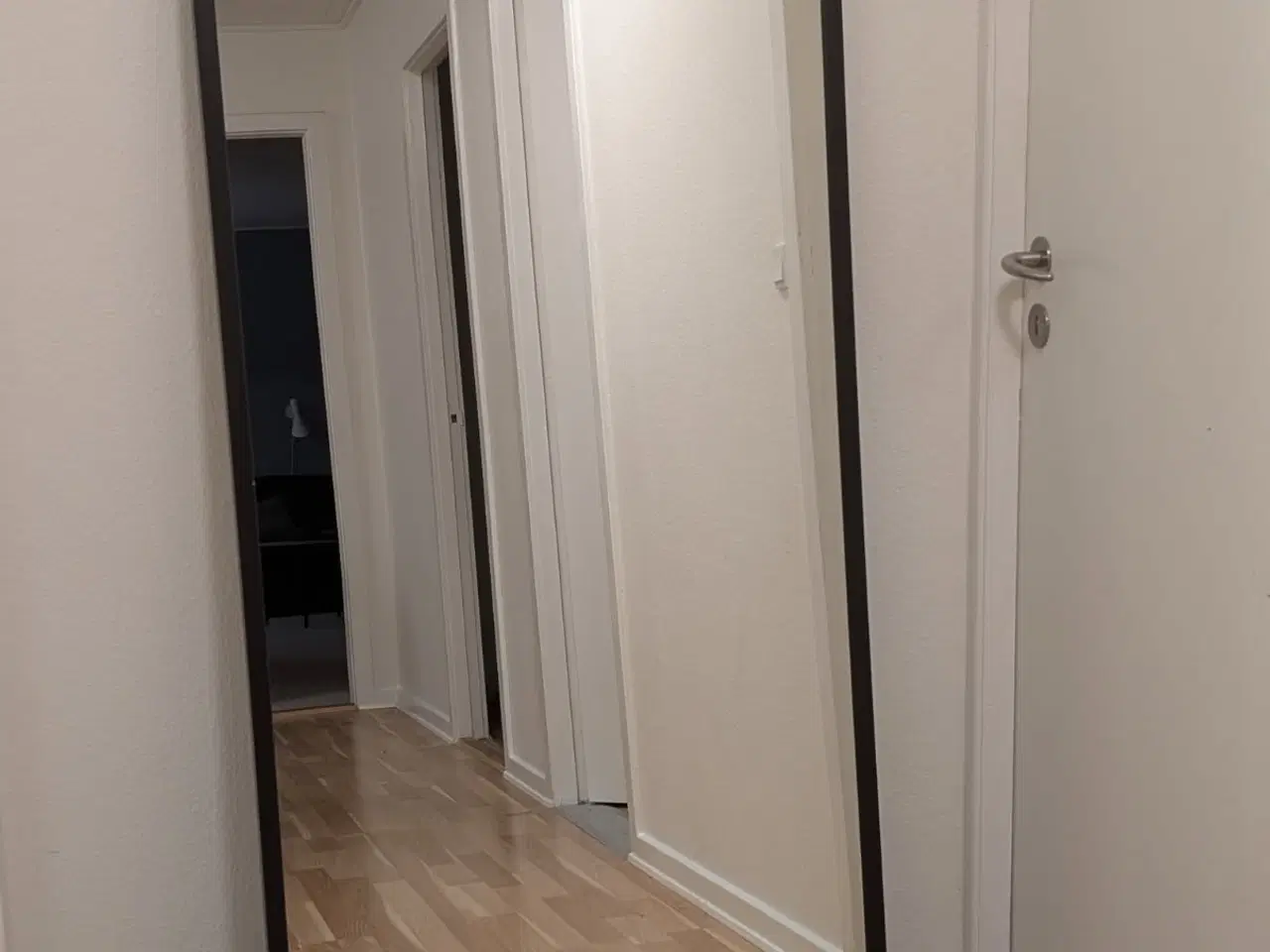 Billede 1 - Nissedal spejl 65X150 cm