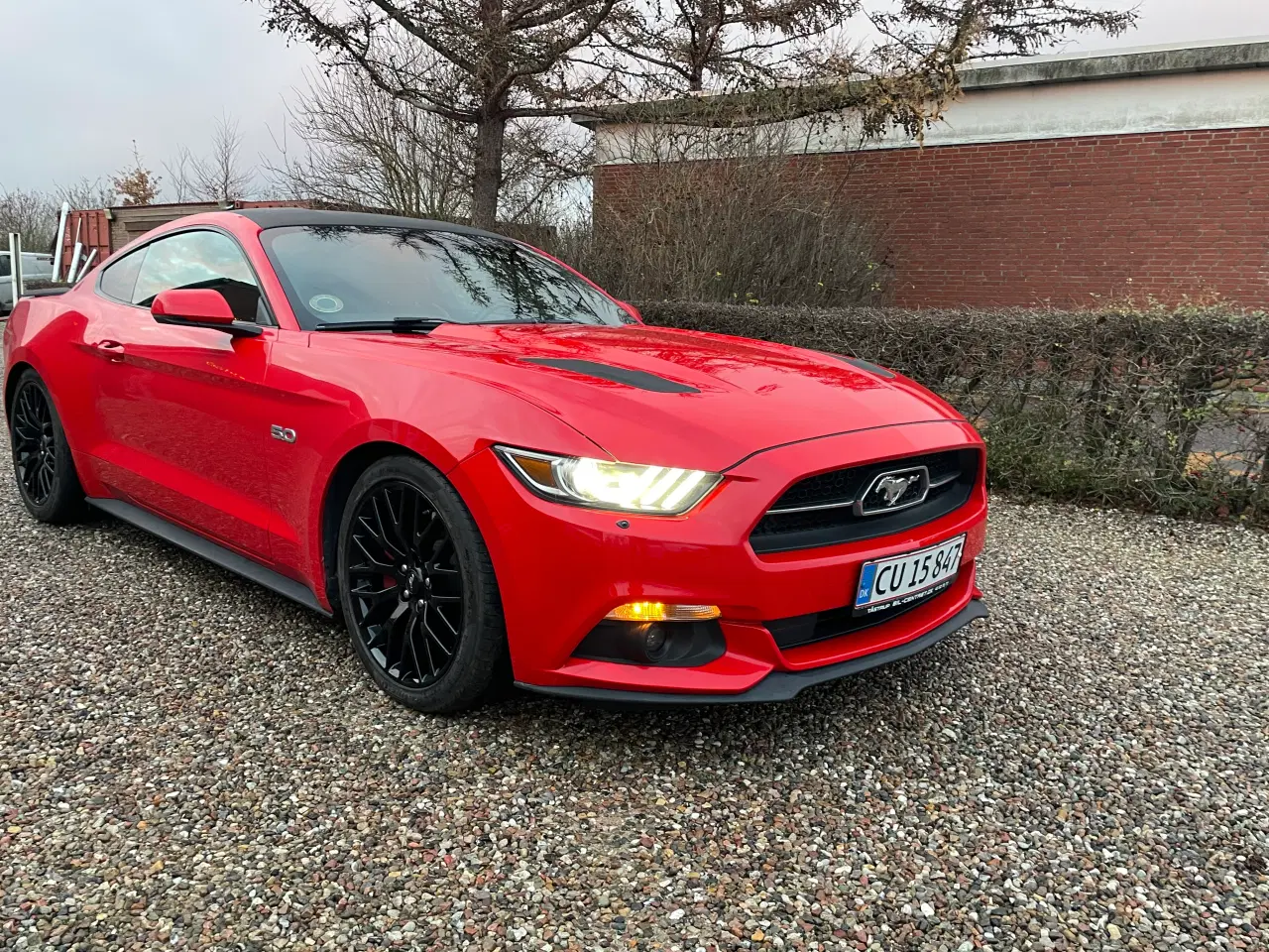 Billede 16 - Ford Mustang efterårs pris